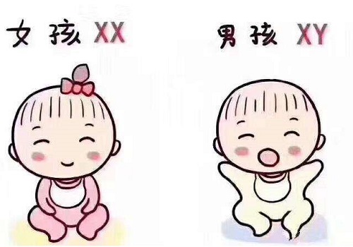 試管嬰兒費用大概是多少錢