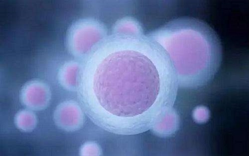 2022年北京試管嬰兒最好的醫院需要多少錢？_2