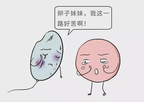 試管嬰兒移植反復失敗被騙了嗎？