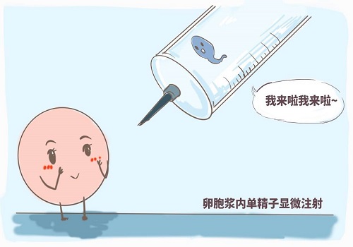 赴泰生子過程需要注意的事項是什么？