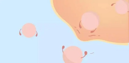 試管嬰兒操作時(shí)可以控制嗎