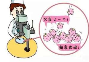 美國試管嬰兒步驟及費(fèi)用是多少?